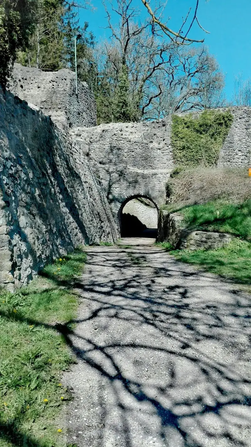 Eifelkrimi-Wanderweg bei Kerpen
