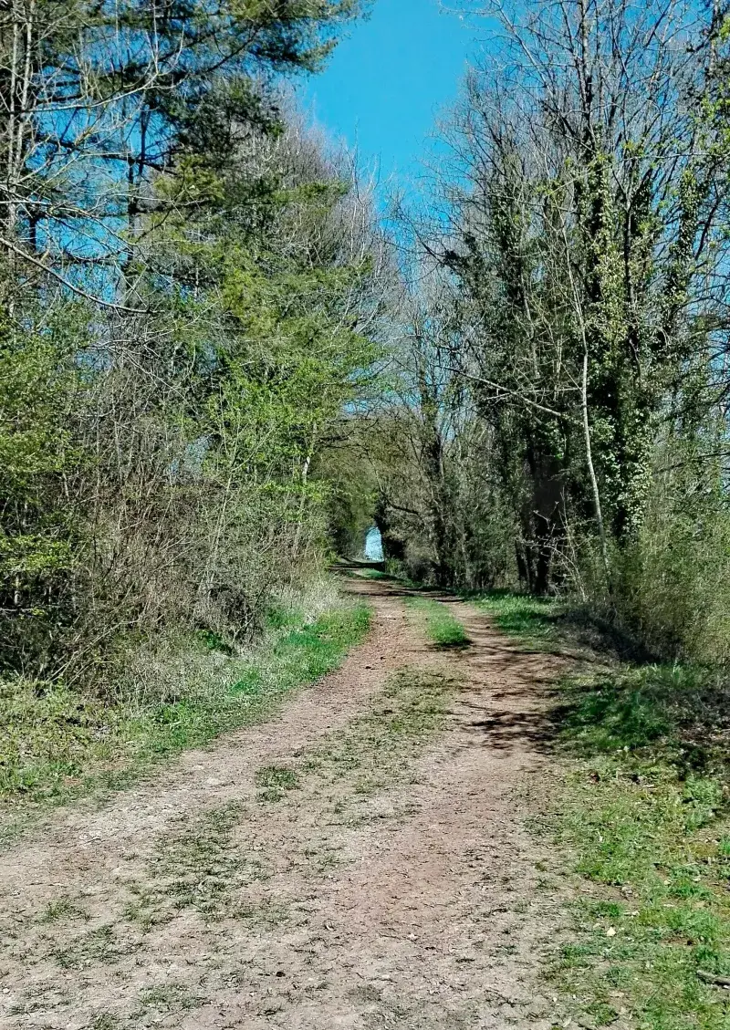 Kalkeifel-Radweg bei Kerpen