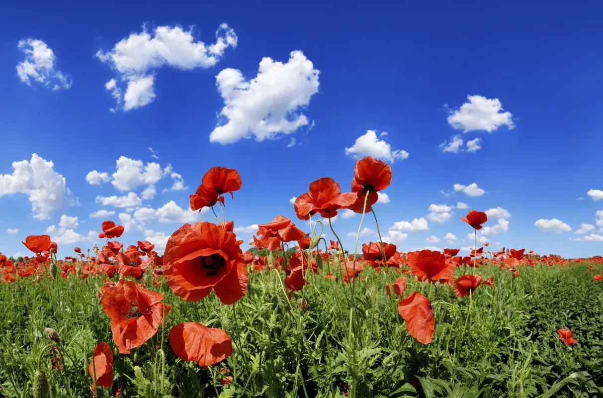 Rad- und Wanderwege in der Vulkaneifel